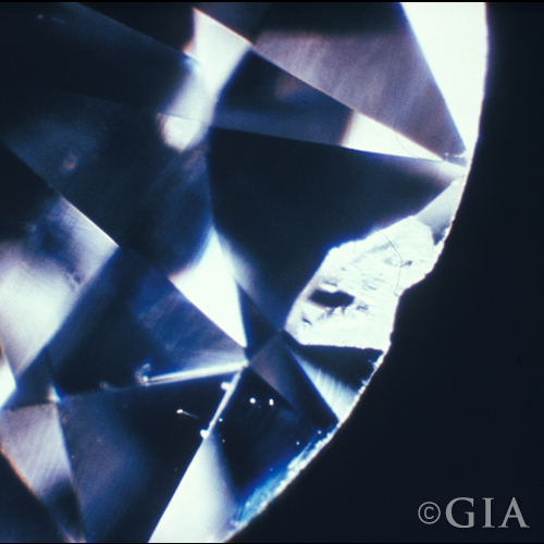 GIA Chip Image