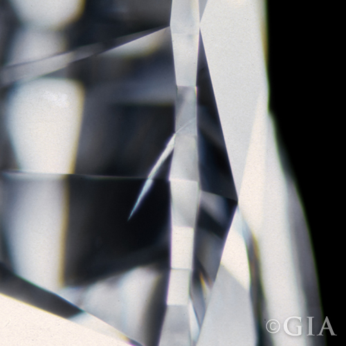 GIA Feather image