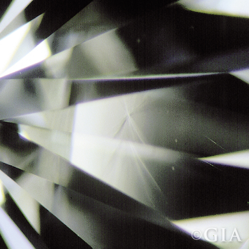 GIA Grain Center