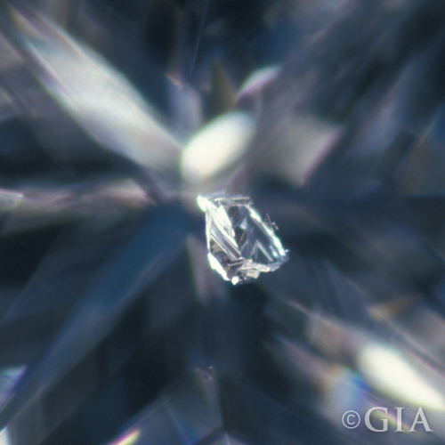 GIA Knot Image